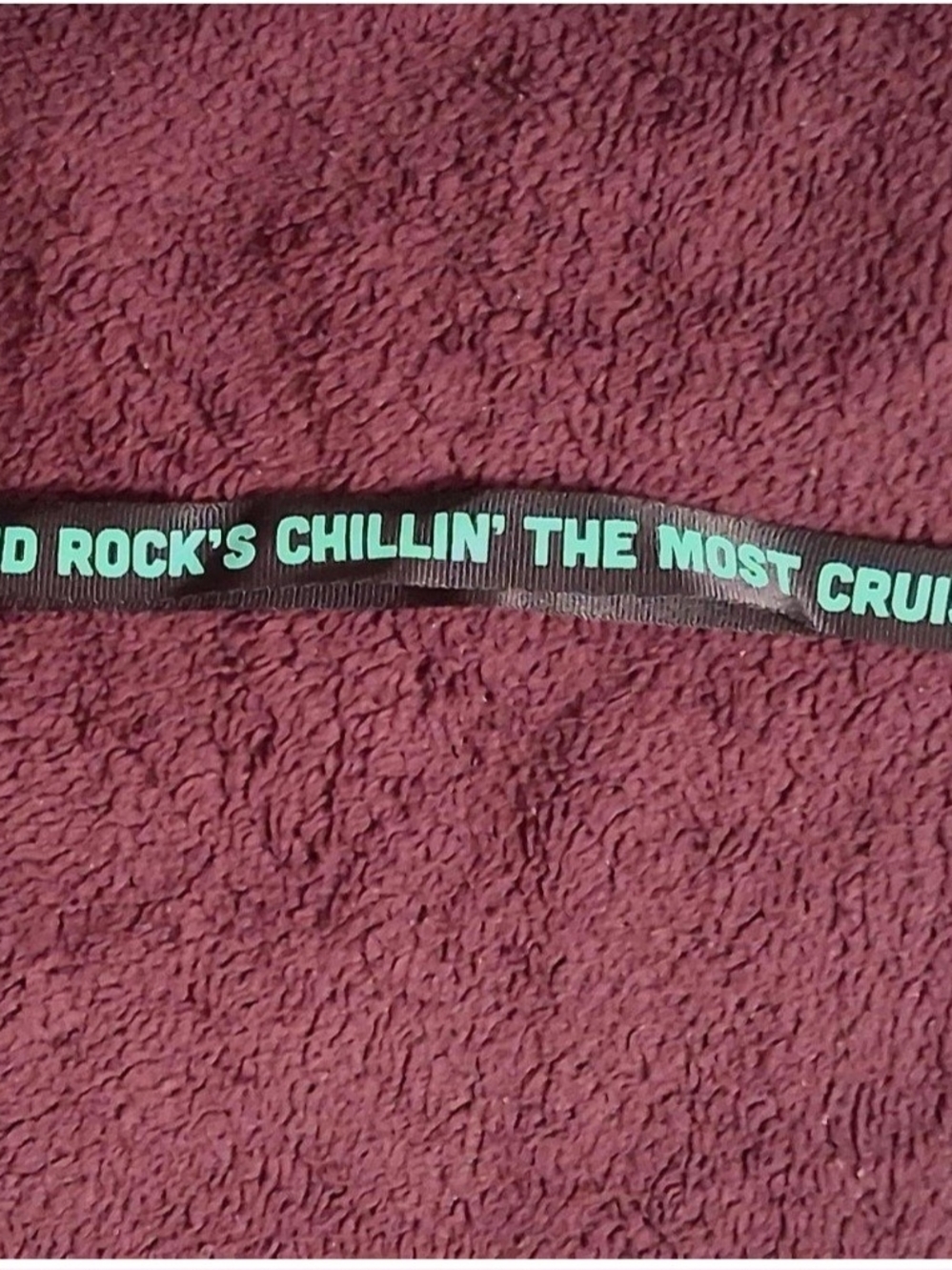 Kid Rock Lanyard